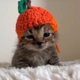 Clementine