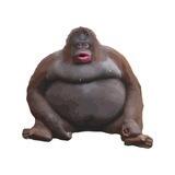 Le Monke | Portal
