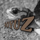 [LINK] Soyuz 📚 Historia