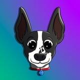 $ADA | The Solana Creator’s Dog