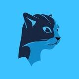 PayCat $PAYCAT