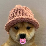 BabyWifHat Coin - Official