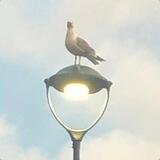 "Corona und das Aufwachen"
