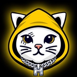 $HODI 硬币 - 穿连帽衫的猫