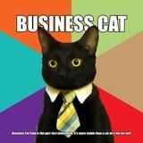 Business Cat | Solana