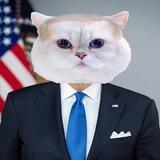 BidenCat | Channel
