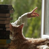 Алінарія про книжки ❤️‍🩹
