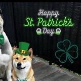 Happy St Patrick’s Day
