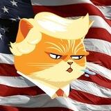 Trump Cat