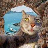 CATOUR PORTAL