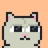 Pipi, Pepe's cat 😻 $SOL - LP BURNED