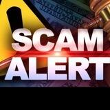 SCAM Projects of [ Pinksale% Gempad ]