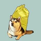 Bonkwifbag