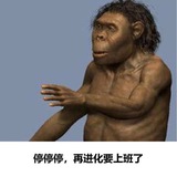 👀吃瓜猎奇段子