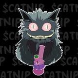 Cat Nip Portal