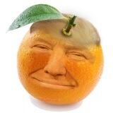 ORANGEMAN