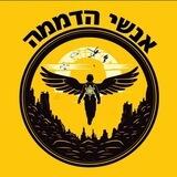 דיונים אנשי הדממה
