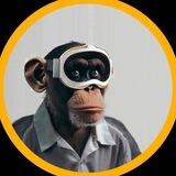 MetaMonkee 🐵
