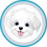 DelRey - Maye Musk's Dog