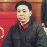 东北人TV