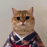 Catownkimono | PORTAL 👘