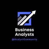 Business Analysts