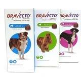 Бравекто / Bravecto | Симпарика | Нексгард СПб/Мск