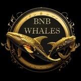BNB Whales Live in PCS / CMC & CG Coming
