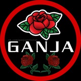 Ganja 🅥