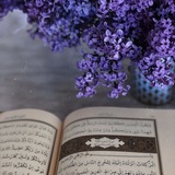 YASIN...AKADEMIYASI