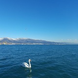 Добрые фото 📸