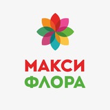 Макси Флора