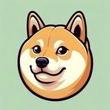 Doge Through Time 🐕 ⌛️😂