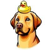 DogWifDuck || PORTAL