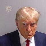 Mugshot Portal
