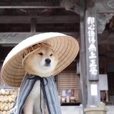 副业/自媒体流量网盘分享