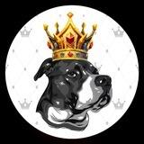 DogeKing 💎官方中文社区