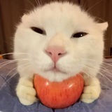 XQC Retard | 公益机场