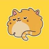 Pochi Cat | SOLANA