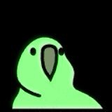 BUDGIE