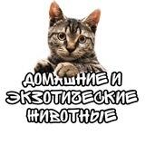 Домашние и Экзотические животные ДНР