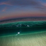 swim