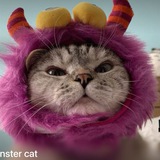 Monster Cat Community