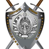 Жамоатчилик назорати