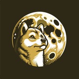 DOGEMOON - ERC20 | PORTAL