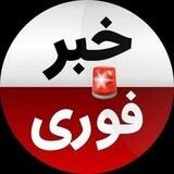 خبر فوری | نرخ طلا و ارز