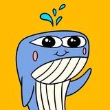Wally Verification