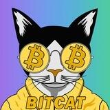 BITCAT | SOLANA