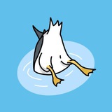 GullNetwork Portal
