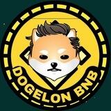 🐶 🔅DOGELON BNB 🔅🐶
